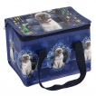 Sac Lunch box isotherme  chat sorcier Hocus Pocus - Lisa Parker