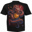 T-shirt homme à dragon asiatique et Samouraï