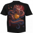 T-shirt homme  dragon asiatique et Samoura