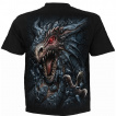 T-shirt homme gothique Le repre du dragon