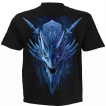 T-shirt homme  guerrire combattant un Dragon de Glace