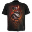 T-shirt homme noir  Dragon gardien du Yin et du Yang