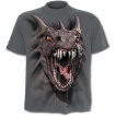 T-shirt gothique gris pour enfant  Dragon effet 3D
