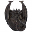 Tête de mort aspect roche volcanique à dragon Draco Skull (19cm)