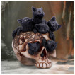 Tête de mort déco à chatons et toile d'araignée - Nemesis