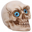 Tête de mort à grands yeux bleues délirants (12cm)
