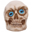 Tête de mort à grands yeux bleues délirants (12cm)