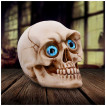 Tête de mort à grands yeux bleues délirants (12cm)