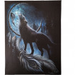 Toile déco à loup en forêt et attrape rêves amérindien