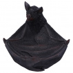 Vide poche en forme de chauve-souris vampire (24,1cm)