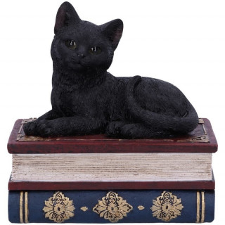 Boite  chat noir se reposant sur des livres - Nemesis Now (11.7cm)