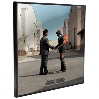 Cadre dco mural Pink Floyd - Wish You Were Here  - 32cm