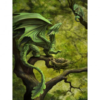 Carte postale Effets 3D  maman dragon de la foret et ses petits - Anne Stokes