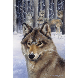 Carte postale Effets 3D loup - Anne Stokes