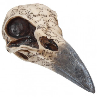 Crane de corbeau couvert d'critures "Edgar's Raven Skull" (21cm)