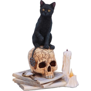 Figurine chat noir sur un crane "Esprits de Salem"