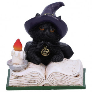 Figurine chaton sorcier tudiant un livre de sorts (8,5cm)