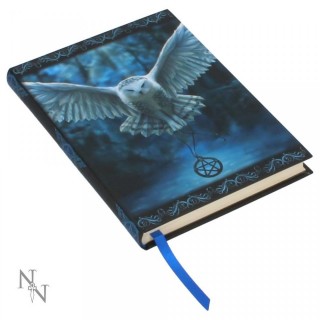 Journal /carnet intime  chouette blanche - Anne stokes (13 x 17,5 cm)