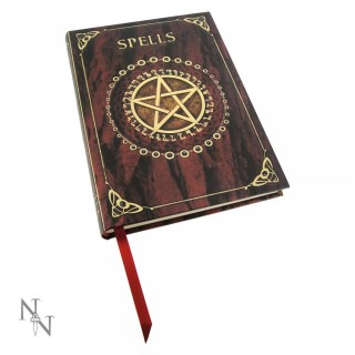 Journal /carnet intime  pentacle "Livre de sortilges" - Luna Lakota