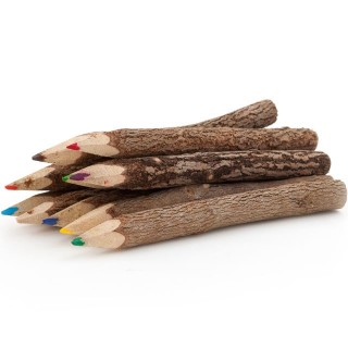 Pack de 10 crayons de couleur bois