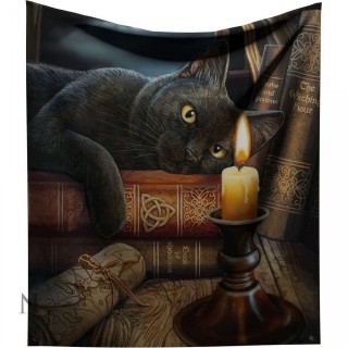 Plaid 160cm  chat noir et grimoire - Lisa Parker