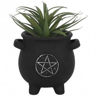 Pot pour plante en forme chaudron avec pentagramme