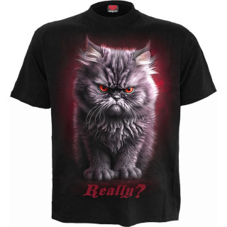T-shirt homme  chat pas content style "Angry cat" au regard rouge