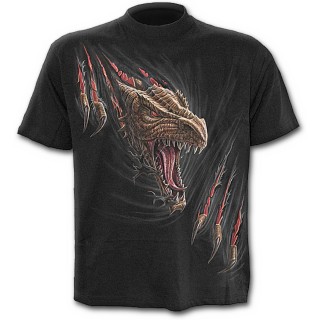 T-shirt homme noir "Librez le dragon qui sommeil en vous"