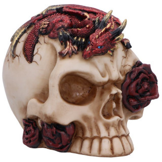 T�te de mort d�co � dragon dormant et roses (14,5cm)