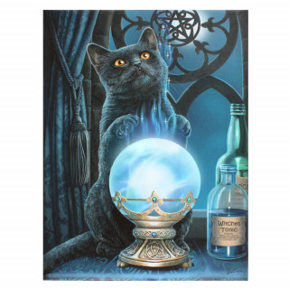 Toile canevas  chat noir et boule de cristal - Lisa Parker (19x25cm)