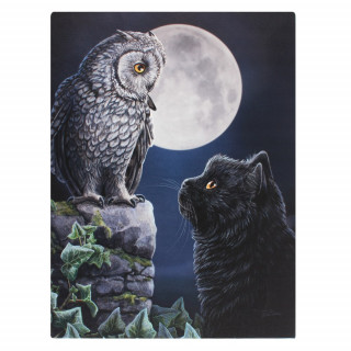 Toile canevas  chat noir et hibou - Lisa Parker (19x25cm)