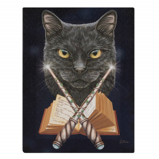 Toile canevas  chat noire et baguettes magique - Lisa Parker (19x25cm)