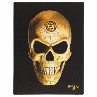 Toile canevas  crane Omega Skull - Alchemy (19x25cm)