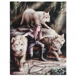 Toile canevas  femme aux loups - Anne Stokes (19x25cm)