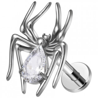 Piercing labret Titane Araign�e royale (l�vre et oreille)