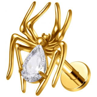 Piercing labret Titane dor� Araign�e royale (l�vre et oreille)